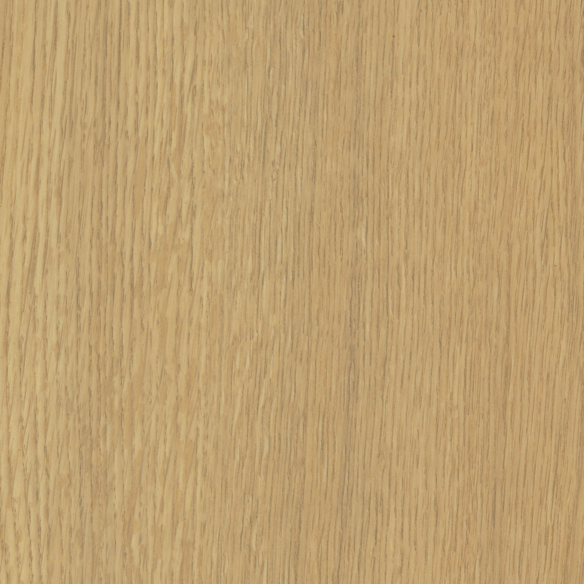Silva Oak Plank 12mm AC4 Laminate Flooring
