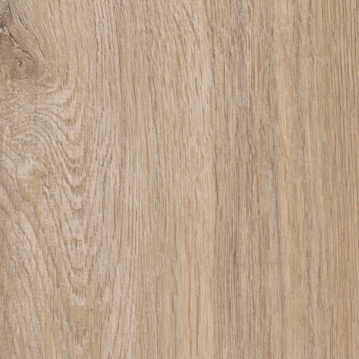 Bermuda Oak 12mm AC5 Aqua Laminate Flooring