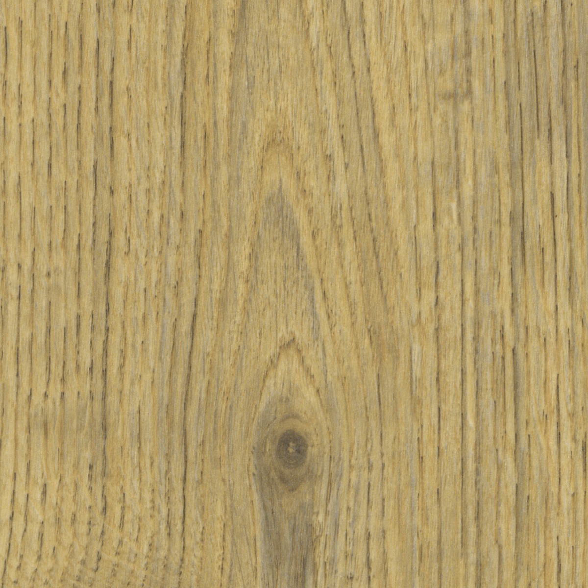 Privas Oak Plank 12mm AC4 Laminate Flooring