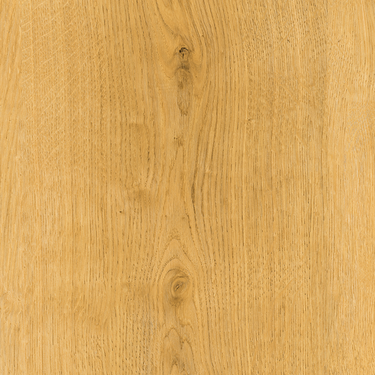 Albi Honey Oak Plank 12mm AC4 Laminate Flooring