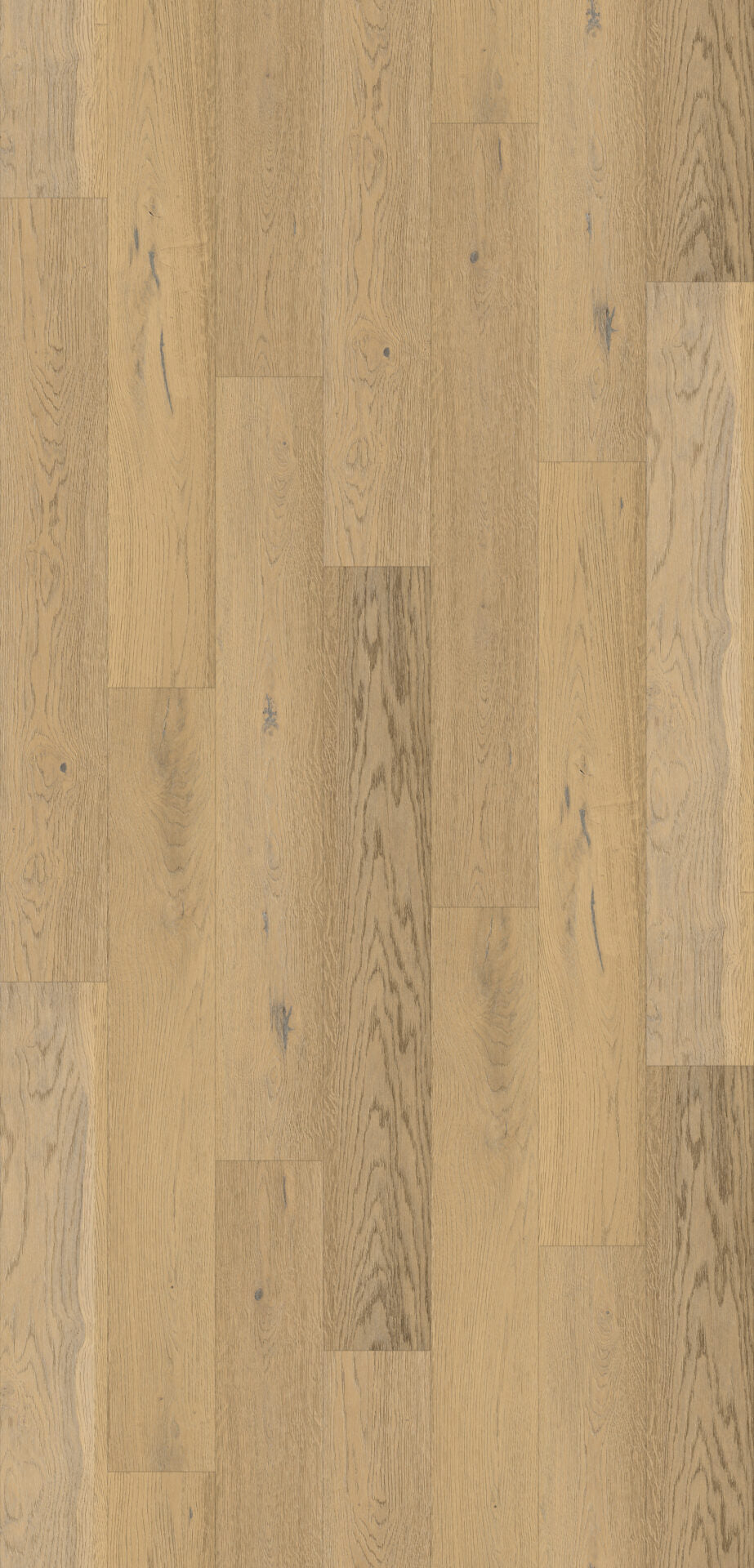 Boyne Oak Plank Aqua 72 12mm AC5 Laminate Flooring laminate flooring decor detail