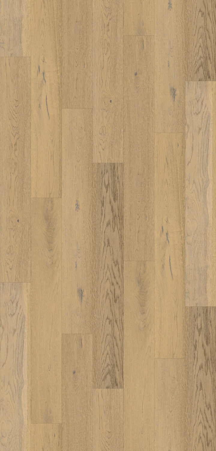Boyne Oak Plank Aqua 72 12mm AC5 Laminate Flooring laminate flooring decor detail