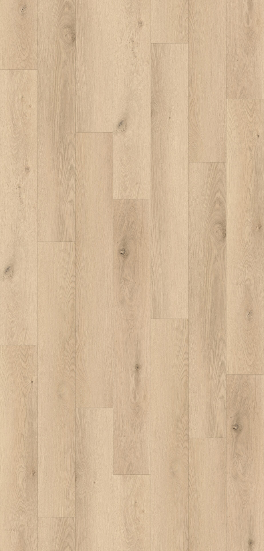 Annalee Oak Plank Aqua 72 12mm AC5 Laminate Flooring laminate flooring decor detail