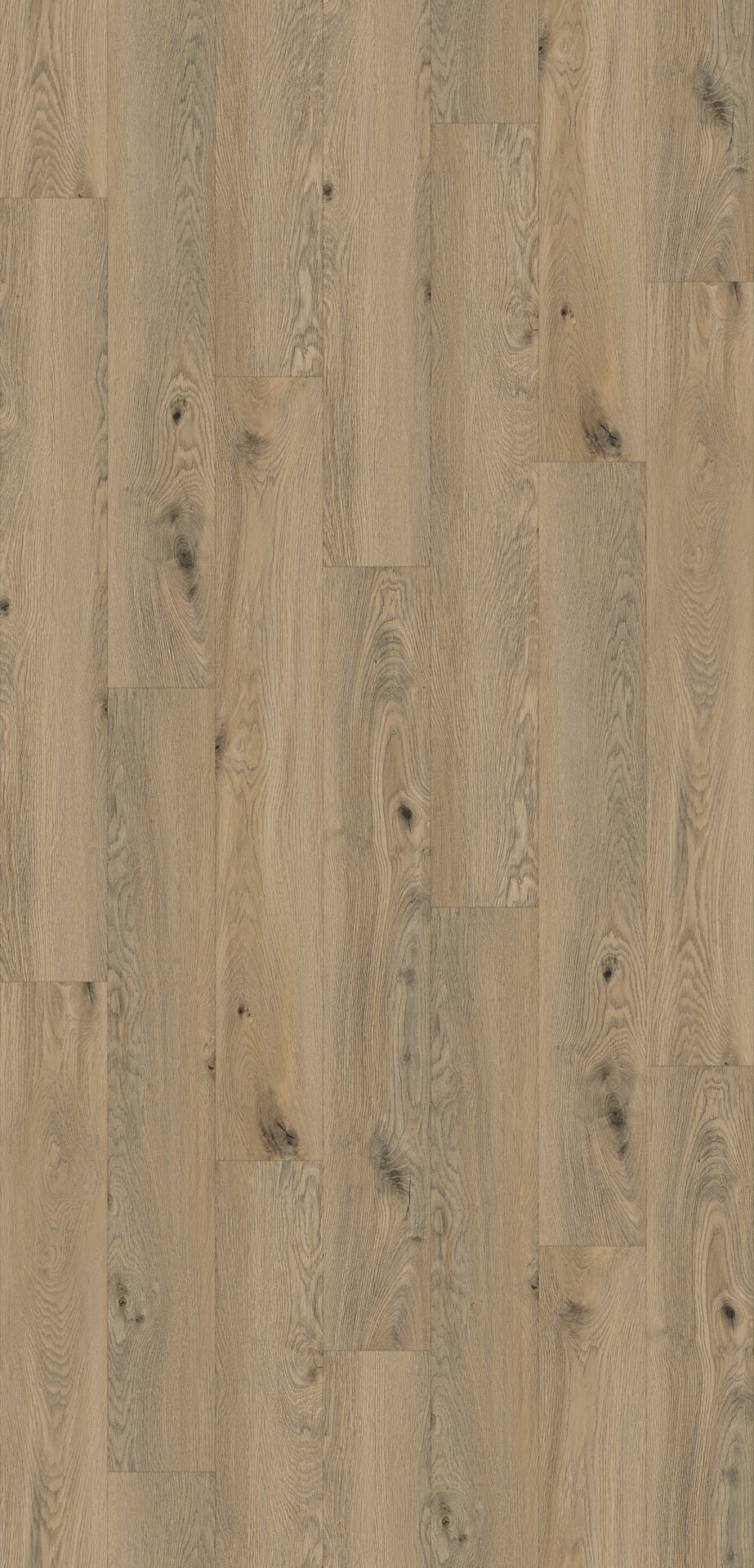Glendalough Oak Plank Aqua 72 12mm AC5 Laminate Flooring laminate flooring decor detail