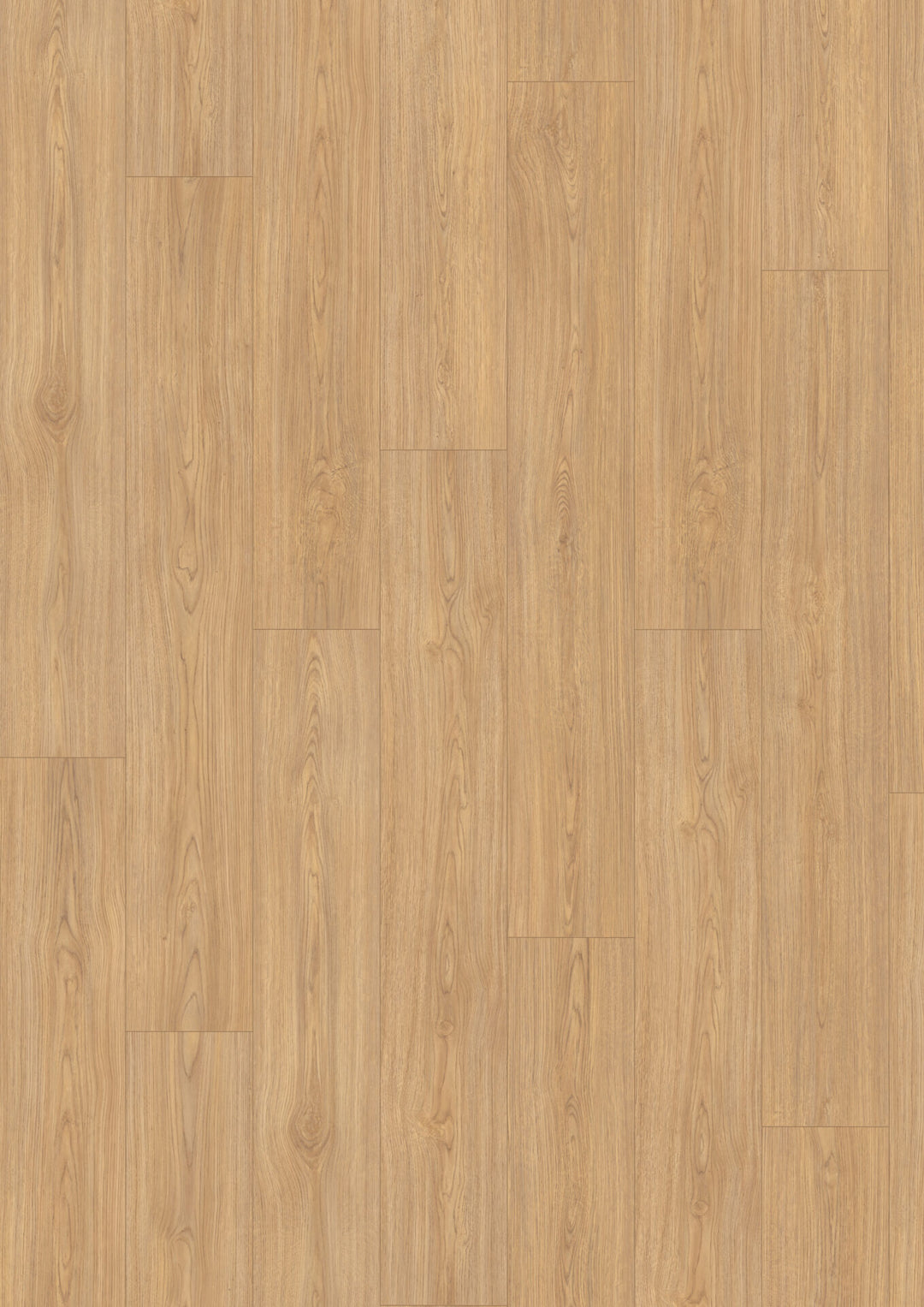 Light Natural Casella Oak Aqua 8mm AC5 Laminate Flooring