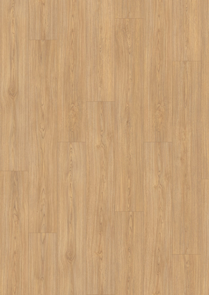 Light Natural Casella Oak Aqua 8mm AC5 Laminate Flooring