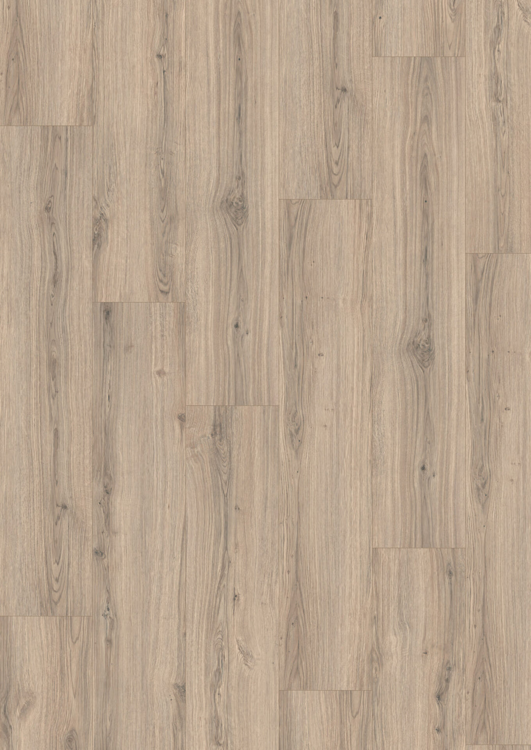 Grey Padua Oak Aqua 8mm AC5 Laminate Flooring