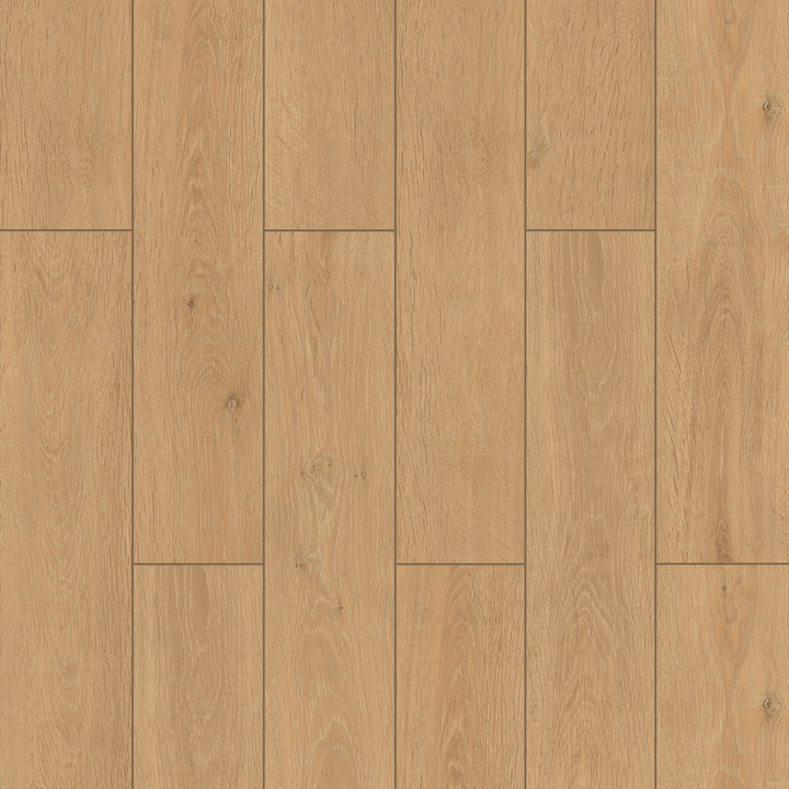 Lark Oak Aqua 72 12mm AC5 Laminate Flooring
