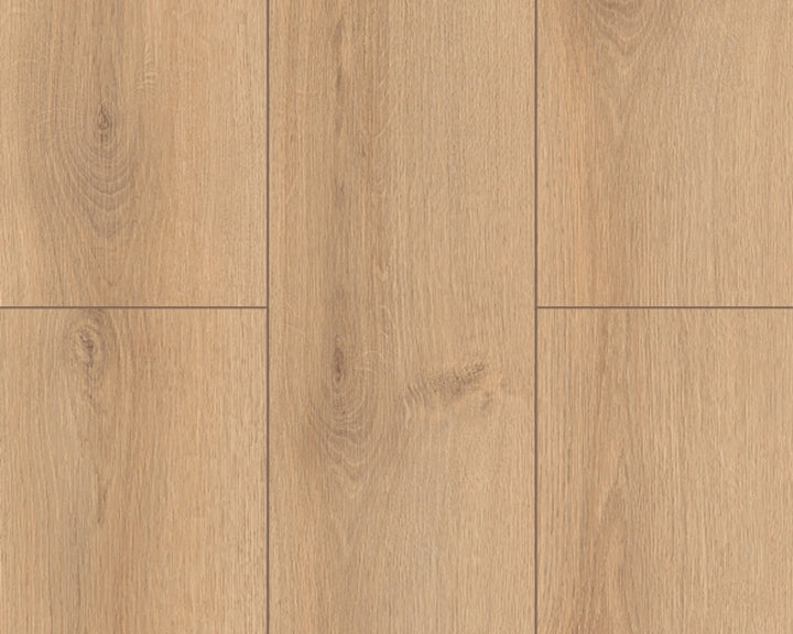 Sahara Oak Aqua 8mm AC5 Laminate Flooring