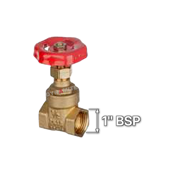 Gate Valve - Female BSP, 1", size marked with a white arrow