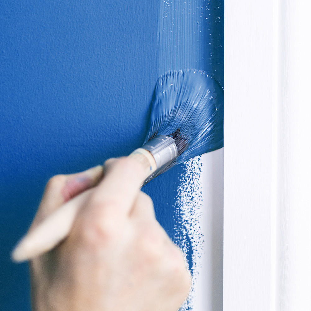 Professional Synthetic Paint Brush 1 1/2" - Dynamite Hardware