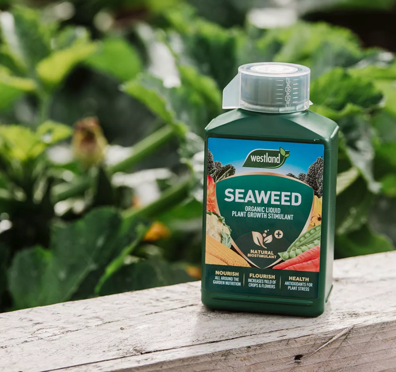 Westland Seaweed Specialist Liquid Feed 1L BUY 2 FOR €18.00