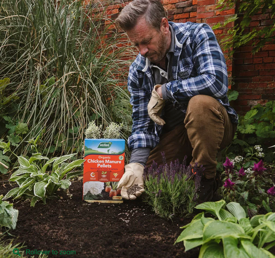 Organic Chicken Manure Pellets 2.25kg BUY 2 FOR €14.00 - Dynamite Hardware